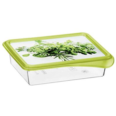 Rotho Rondo uppsättning med 4 frysburkar 0,2 l med lock, plast (PP) BPA-fria, transparent/grön, 4 x 0,2 l (12,5 x 10,0 x 6,5 cm) Rotho Rondo uppsättning med 4 frysburkar 0,2 l med lock, plast (PP) BPA-fria, transparent/grön, 4 x 0,2 l (12,5 x 10,0 x 6,5 cm)