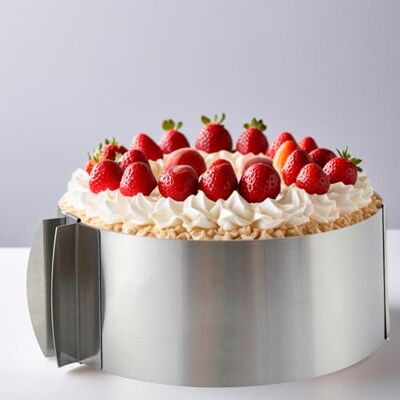 Elalove Justerbar tårtring, 5 cm hög, bakring med handtag och skala, bakram rund, rostfritt stål bakring för tårtor, kakor, lager desserter, Ø 16–30 cm, silver Elalove Justerbar tårtring, 5 cm hög, bakring med handtag och skala, bakram rund, rostfritt stål bakring för tårtor, kakor, lager desserter, Ø 16–30 cm, silver