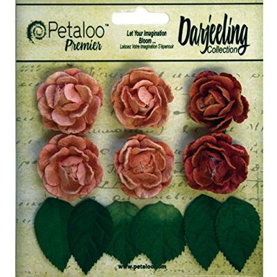Petaloo Darjeeling miniträdgård rosetter 1 tum krydda, akryl, flerfärgad, 4,7 x 4,6 x 0,48 cm Petaloo Darjeeling miniträdgård rosetter 1 tum krydda, akryl, flerfärgad, 4,7 x 4,6 x 0,48 cm