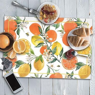 CREARREDA Bordstabletter Americana Citrus bordstabletter i set med 4 frukostunderlägg av PVC, 48 x 33 cm, halkfria, tvättbara, smutsavvisande, värmebeständiga, tillverkade i Italien CREARREDA Bordstabletter Americana Citrus bordstabletter i set med 4 frukostunderlägg av PVC, 48 x 33 cm, halkfria, tvättbara, smutsavvisande, värmebeständiga, tillverkade i Italien
