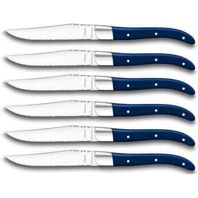 Amefa Lou Laguiole Steakmesser Set 6 delar Griffe Blau Mikro-Wellenschliff mit langanhaltender Schärfe Super Scharf & Schnitthaltig, Steakbesteck Professionell biffset Kunglig biff Amefa Lou Laguiole Steakmesser Set 6 delar Griffe Blau Mikro-Wellenschliff mit langanhaltender Schärfe Super Scharf & Schnitthaltig, Steakbesteck Professionell biffset Kunglig biff