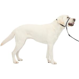 PetSafe Gentle Leader Ingen-Trekk Hundkoppel - Enklare Promenader PetSafe Gentle Leader Ingen-Trekk Hundkoppel - Enklare Promenader