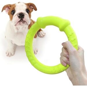 LaRoo Hundfrisbee-leksaker, flytande flygande hundskivleksaker, sommardjursträning utomhus hållbara tuggleksaker för små och medelstora hundar. (Grön 18 cm/7 tum) LaRoo Hundfrisbee-leksaker, flytande flygande hundskivleksaker, sommardjursträning utomhus hållbara tuggleksaker för små och medelstora hundar. (Grön 18 cm/7 tum)