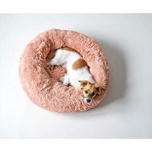 MB HOME BASIC Hundbädd Dreams 50x50x20 - Hundbädd MB HOME BASIC Hundbädd Dreams 50x50x20 - Hundbädd