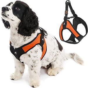Gooby Medium Orange Halsband - Lätt att Sätta På och Av Gooby Medium Orange Halsband - Lätt att Sätta På och Av