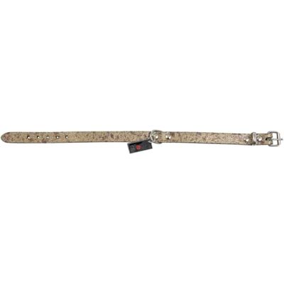 JACK AND VANILLA , Hundhalsband, modell Monaco, färg guld, storlek 10 mm x 25 cm JACK AND VANILLA , Hundhalsband, modell Monaco, färg guld, storlek 10 mm x 25 cm