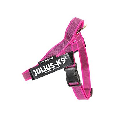 Julius-K9 , IDC färg och grå bältessele, storlek: S/Mini, rosa-grå Julius-K9 , IDC färg och grå bältessele, storlek: S/Mini, rosa-grå