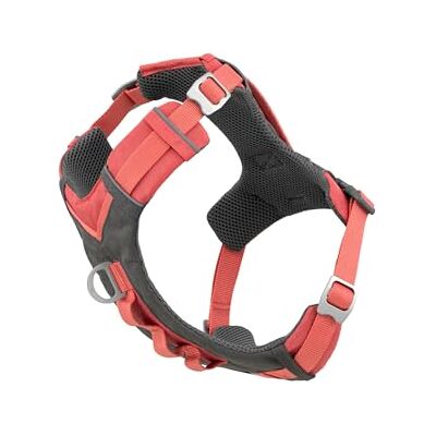 Kurgo Journey Air Hundsele, västsele för hundar, husdjurssele för vandring, löpning och promenader, reflekterande, vadderad, inkluderar kontrollhandtag, no pull-fäste framtill (korallröd, storlek M) Kurgo Journey Air Hundsele, västsele för hundar, husdjurssele för vandring, löpning och promenader, reflekterande, vadderad, inkluderar kontrollhandtag, no pull-fäste framtill (korallröd, storlek M)