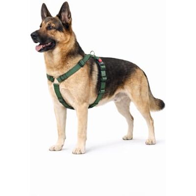 Flamingo Hundsele H-formad Ziggi kaki XL 70-110 cm 85-120 cm 25 mm Flamingo Hundsele H-formad Ziggi kaki XL 70-110 cm 85-120 cm 25 mm