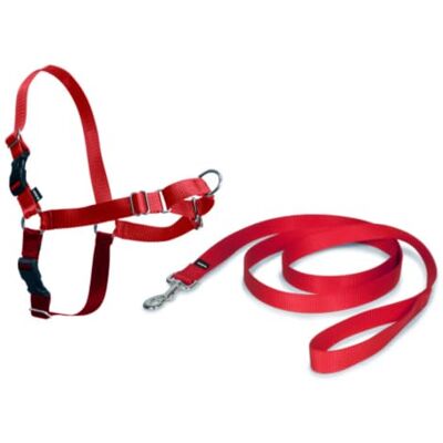 PetSafe Easy Walk-porslin, anti-drag-hundsele, minskar kvävning och hosta, med 1,8 m koppel, storlek L, röd PetSafe Easy Walk-porslin, anti-drag-hundsele, minskar kvävning och hosta, med 1,8 m koppel, storlek L, röd