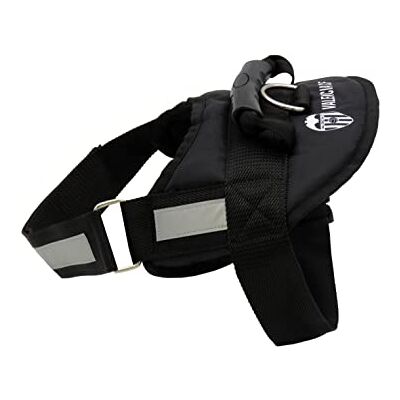 CYPBRANDS Förstärkt sele med hundfyllning -Storlek S-M Husdjurstillbehör, officiell produkt, Valencia (Cyp Brands) CYPBRANDS Förstärkt sele med hundfyllning -Storlek S-M Husdjurstillbehör, officiell produkt, Valencia (Cyp Brands)