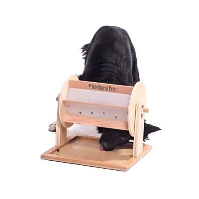 My Intelligent Pets - Fortuna Wheel - Dispenser för godis - Pussel My Intelligent Pets - Fortuna Wheel - Dispenser för godis - Pussel