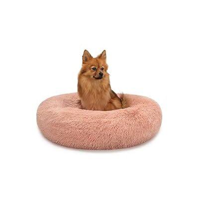 lionto Donutsäng för hundar och katter, fluffig rund bädd för små & stora husdjur, Ø 60 cm, mjuk kattsäng i gosig plysch, hundkudde med extra tjock stoppning, rosa lionto Donutsäng för hundar och katter, fluffig rund bädd för små & stora husdjur, Ø 60 cm, mjuk kattsäng i gosig plysch, hundkudde med extra tjock stoppning, rosa
