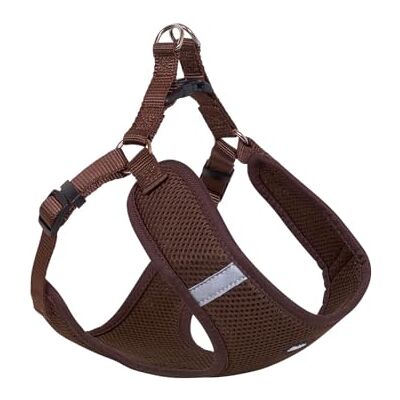 Nobby 80623-23 sele mesh reflekterande brun B: 10 mm, L: 28–33 cm 32 cm Nobby 80623-23 sele mesh reflekterande brun B: 10 mm, L: 28–33 cm 32 cm