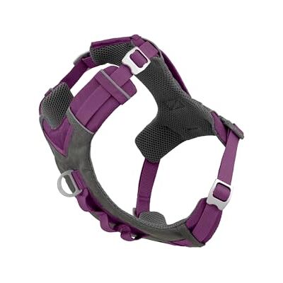 Kurgo Journey Air Hundsele, västsele för hundar, husdjurssele för vandring, löpning och promenader, reflekterande, vadderad, inkluderar kontrollhandtag, no pull-fäste framtill (lila, storlek M) Kurgo Journey Air Hundsele, västsele för hundar, husdjurssele för vandring, löpning och promenader, reflekterande, vadderad, inkluderar kontrollhandtag, no pull-fäste framtill (lila, storlek M)