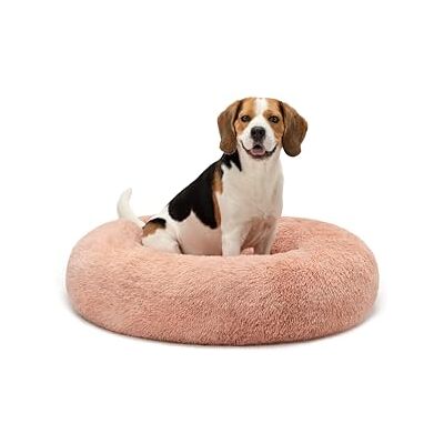 lionto Donutsäng för hundar och katter, fluffig rund bädd för små & stora husdjur, Ø 80 cm, mjuk kattsäng i gosig plysch, hundkudde med extra tjock stoppning, rosa lionto Donutsäng för hundar och katter, fluffig rund bädd för små & stora husdjur, Ø 80 cm, mjuk kattsäng i gosig plysch, hundkudde med extra tjock stoppning, rosa