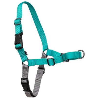 PetSafe Easy Walk hundsele, blågrön, stor PetSafe Easy Walk hundsele, blågrön, stor