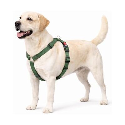 Flamingo Hundsele H-formad Ziggi kaki L 60–85 cm 70–100 cm 25 mm Flamingo Hundsele H-formad Ziggi kaki L 60–85 cm 70–100 cm 25 mm