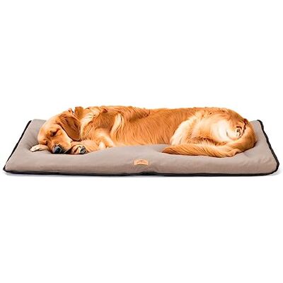 Ferplast JOLLY Mikrofleece Hund- och kattkudde, varm och mjuk mikrofiber för stora storlekar, dubbelsidig, reptålig, tvättbar madrass, 98 x 65 x 3,5 cm, svart Ferplast JOLLY Mikrofleece Hund- och kattkudde, varm och mjuk mikrofiber för stora storlekar, dubbelsidig, reptålig, tvättbar madrass, 98 x 65 x 3,5 cm, svart