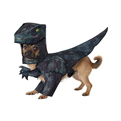 California Costumes Kalifornien kostymer pupasaurus rex hunddräkter, husdjur, mörkgrön, extra liten California Costumes Kalifornien kostymer pupasaurus rex hunddräkter, husdjur, mörkgrön, extra liten