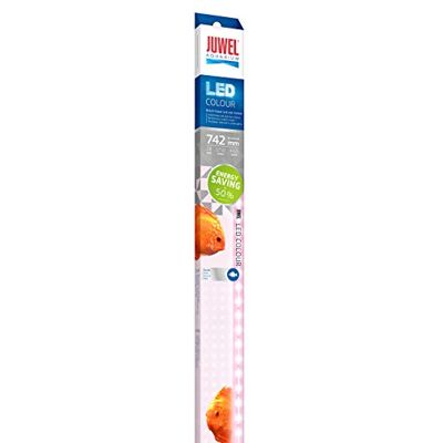 Juwel Aquarium Juwel Akvarium – LED COLOUR 742 mm – lämplig för MultiLux LED – insat 92 cm Juwel Aquarium Juwel Akvarium – LED COLOUR 742 mm – lämplig för MultiLux LED – insat 92 cm