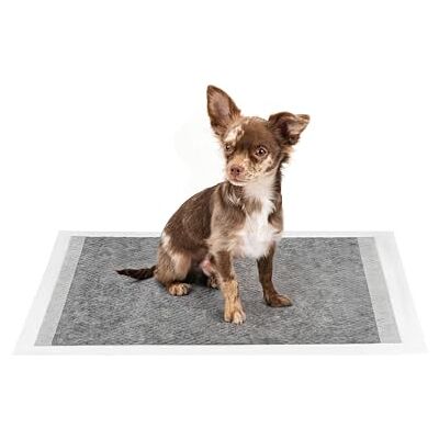 lionto Valpunderlägg med kolfiber, 6-lagers träningspads för hundar med klisterremsor, 60x60 cm, 100 st, läckagesäkra & robusta, hög uppsugningsförmåga för sjuka & inkontinenta djur, svart/vit lionto Valpunderlägg med kolfiber, 6-lagers träningspads för hundar med klisterremsor, 60x60 cm, 100 st, läckagesäkra & robusta, hög uppsugningsförmåga för sjuka & inkontinenta djur, svart/vit