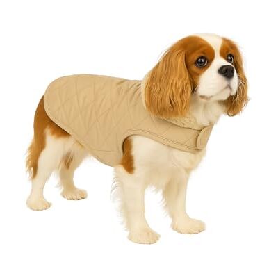 Flamingo Bonnie Beige hundkappa storlek 40 cm (A: 40 cm, B: 34–40 cm, C: 54-60 cm) perfekt för Chihuahua, tax, Shih Tzu, mops och Cavalier King Charles Flamingo Bonnie Beige hundkappa storlek 40 cm (A: 40 cm, B: 34–40 cm, C: 54-60 cm) perfekt för Chihuahua, tax, Shih Tzu, mops och Cavalier King Charles