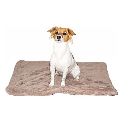 SOGNI E CAPRICCI PETS Paket N.2 Super fluffiga mattor, Brun, 83 x 64 cm SOGNI E CAPRICCI PETS Paket N.2 Super fluffiga mattor, Brun, 83 x 64 cm