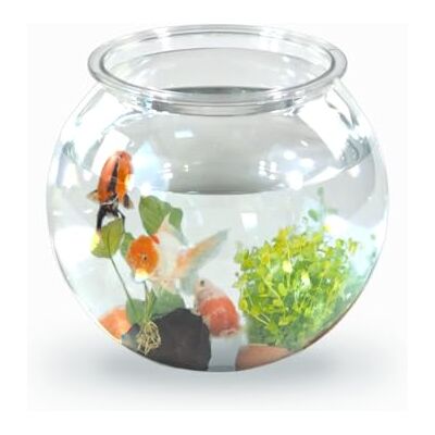 Mobiclinic ® pets, Liten rund akvarium, Nemo, 4 liter, Plast pet eco, Transparent design, 20x20x17, 5 cm, Lätt att rengöra, Tålig, Perfekt för heminredning, Vattenörter Mobiclinic ® pets, Liten rund akvarium, Nemo, 4 liter, Plast pet eco, Transparent design, 20x20x17, 5 cm, Lätt att rengöra, Tålig, Perfekt för heminredning, Vattenörter