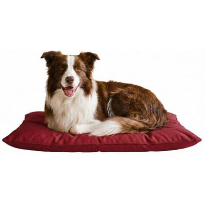 Maxy Bordeaux Mikrofiber hundkudde - 60 x 100 cm Maxy Bordeaux Mikrofiber hundkudde - 60 x 100 cm