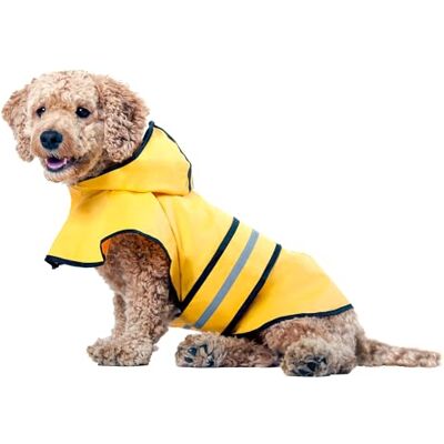SPOT Rainy Days Slicker – gul hund regnjacka med huva, reflekterande remsa för säkerhet, koppelhål och justerbart kardborreband, 100% polyester vattentålig regnrock för husdjur – medium, 33 cm lång SPOT Rainy Days Slicker – gul hund regnjacka med huva, reflekterande remsa för säkerhet, koppelhål och justerbart kardborreband, 100% polyester vattentålig regnrock för husdjur – medium, 33 cm lång
