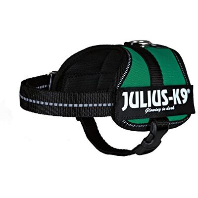 Julius-K9 ,162, strömsladd, 1, Mörkgrön Julius-K9 ,162, strömsladd, 1, Mörkgrön