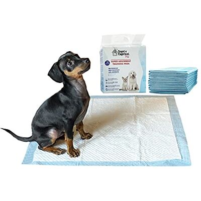 Italian Bed Linen Absorberande matta 60 x 60 cm Dreams & Capricors Pets, Neutral 1 Kuvert (10 Bitar) Italian Bed Linen Absorberande matta 60 x 60 cm Dreams & Capricors Pets, Neutral 1 Kuvert (10 Bitar)