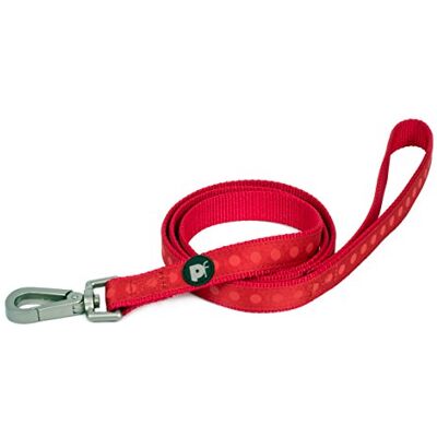 Petface tonal prickar tryck nylon hund bly, medium, röd Petface tonal prickar tryck nylon hund bly, medium, röd