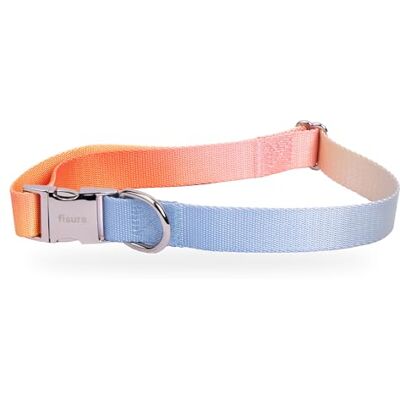 FISURA Justerbart hundhalsband med lutningstryck, nylonhalsband för liten hund, nylon med zinkspänne, 1,5 cm bred. FISURA Justerbart hundhalsband med lutningstryck, nylonhalsband för liten hund, nylon med zinkspänne, 1,5 cm bred.