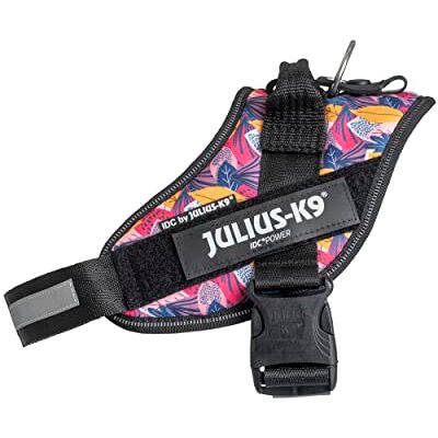 Julius-K9 IDC Powersele, storlek: M/0, blad 2 – begränsad utgåva Julius-K9 IDC Powersele, storlek: M/0, blad 2 – begränsad utgåva
