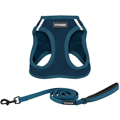 Best Pet Supplies Voyager Step-in Air All Weather nätsele och reflekterande hund 1,5 m koppelkombination med neoprenhandtag, för små, medelstora och stora rasvalpar från – koppelsele (blå), L Best Pet Supplies Voyager Step-in Air All Weather nätsele och reflekterande hund 1,5 m koppelkombination med neoprenhandtag, för små, medelstora och stora rasvalpar från – koppelsele (blå), L