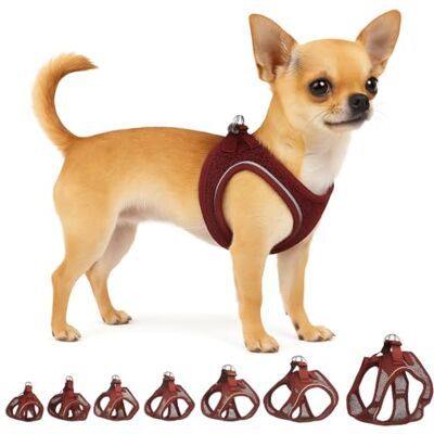 Flamingo Step&Go Bento Hundsele aubergine XXS A:22-23 cm B:24-25 cm x 3 mm Justerbar med reflekterande ränder Perfekt för Chihuahua, Yorkshire, Papillon & Pekingese Flamingo Step&Go Bento Hundsele aubergine XXS A:22-23 cm B:24-25 cm x 3 mm Justerbar med reflekterande ränder Perfekt för Chihuahua, Yorkshire, Papillon & Pekingese