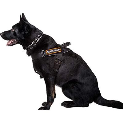 DINGO GEAR WWW.DINGOGEAR.COM 1977 Dingo Gear multifunktionell sele för hund på jobbet, XL, COBRA, Svart DINGO GEAR WWW.DINGOGEAR.COM 1977 Dingo Gear multifunktionell sele för hund på jobbet, XL, COBRA, Svart