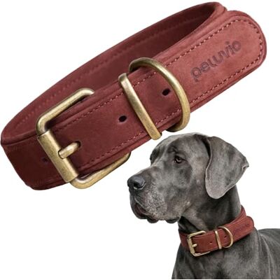 Peluvio Rexor Hundhalsband i Äkta Oxläder för Hundar, Justerbart Läderhalsband med Kopparspänne och Metallbeslag, Mjukt, Slitstarkt och Bekvämt Halsband för Dagliga Promenader, Elegant (XL, Brun) Peluvio Rexor Hundhalsband i Äkta Oxläder för Hundar, Justerbart Läderhalsband med Kopparspänne och Metallbeslag, Mjukt, Slitstarkt och Bekvämt Halsband för Dagliga Promenader, Elegant (XL, Brun)