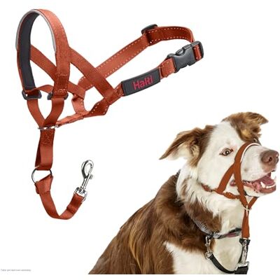 Halti Headcollar För att hindra din hund från att dra i kopplet. Justerbar och lätt, med vadderat näsband. Anti-draghalsband för hundträning för medelstora hundar (Storlek 2, Bränd Apelsin) Halti Headcollar För att hindra din hund från att dra i kopplet. Justerbar och lätt, med vadderat näsband. Anti-draghalsband för hundträning för medelstora hundar (Storlek 2, Bränd Apelsin)