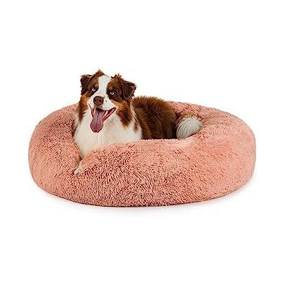 lionto Donutsäng för hundar och katter, fluffig rund bädd för små & stora husdjur, Ø 100 cm, mjuk kattsäng i gosig plysch, hundkudde med extra tjock stoppning, rosa lionto Donutsäng för hundar och katter, fluffig rund bädd för små & stora husdjur, Ø 100 cm, mjuk kattsäng i gosig plysch, hundkudde med extra tjock stoppning, rosa