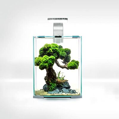 Aquael 124834 Akvarium med växt, Flerfärgad, 20 x 20 x 25 cm Aquael 124834 Akvarium med växt, Flerfärgad, 20 x 20 x 25 cm