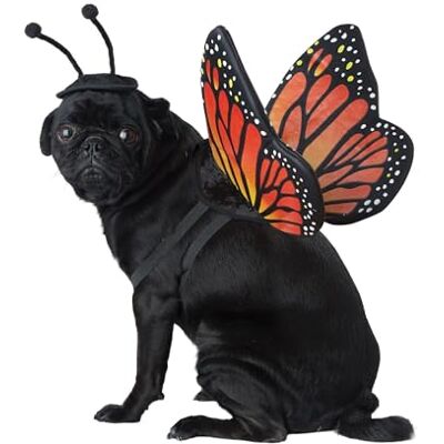 California Costumes Kalifornien kostym kollektioner PET20164 monark fjäril hundkostym, medium California Costumes Kalifornien kostym kollektioner PET20164 monark fjäril hundkostym, medium