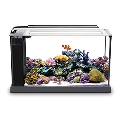 Fluval 10528A1 Evo V Marine Aquarium Kit, 5 gal Fluval 10528A1 Evo V Marine Aquarium Kit, 5 gal