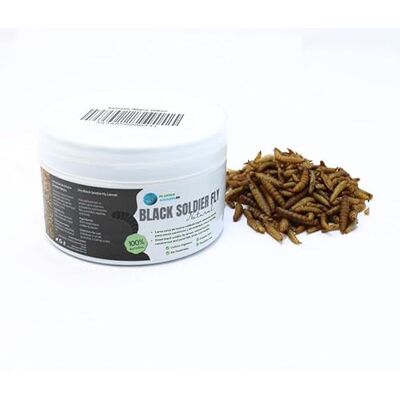 PlantasAcuario Larva Black Soldier Fly akvarieplanter 225 ml, 100% naturlig insektsbaserad mat för fisk, fjäderfä och reptiler rik på protein och vitaminer PlantasAcuario Larva Black Soldier Fly akvarieplanter 225 ml, 100% naturlig insektsbaserad mat för fisk, fjäderfä och reptiler rik på protein och vitaminer