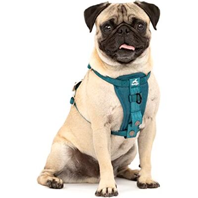 Kurgo DG HARNESS INK SM Kurgo DG HARNESS INK SM