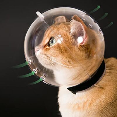 Hoqqf Genomskinlig munkorg för katter, ventilerande huva, justerbar, kattunge, astronauthjälm, förhindrar att husdjur biter, tuggar och slickar, bollmask för aggressiv katt, storlek M Hoqqf Genomskinlig munkorg för katter, ventilerande huva, justerbar, kattunge, astronauthjälm, förhindrar att husdjur biter, tuggar och slickar, bollmask för aggressiv katt, storlek M