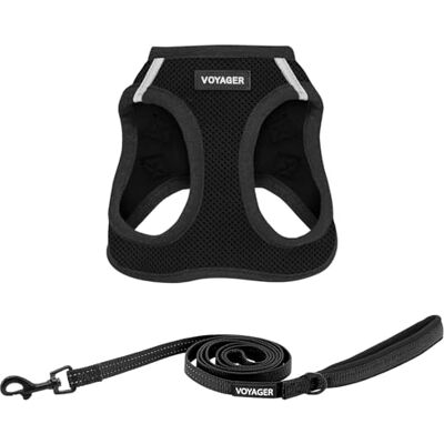 Best Pet Supplies Voyager Step-In Air hundsele – alla väder nät kliv i väst sele för små och medelstora hundar från – svart, XXS Best Pet Supplies Voyager Step-In Air hundsele – alla väder nät kliv i väst sele för små och medelstora hundar från – svart, XXS