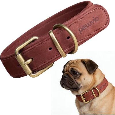 Peluvio Rexor Hundhalsband i Äkta Oxläder för Hundar, Justerbart Läderhalsband med Kopparspänne och Metallbeslag, Mjukt, Slitstarkt och Bekvämt Halsband för Dagliga Promenader, Elegant (S, Brun) Peluvio Rexor Hundhalsband i Äkta Oxläder för Hundar, Justerbart Läderhalsband med Kopparspänne och Metallbeslag, Mjukt, Slitstarkt och Bekvämt Halsband för Dagliga Promenader, Elegant (S, Brun)